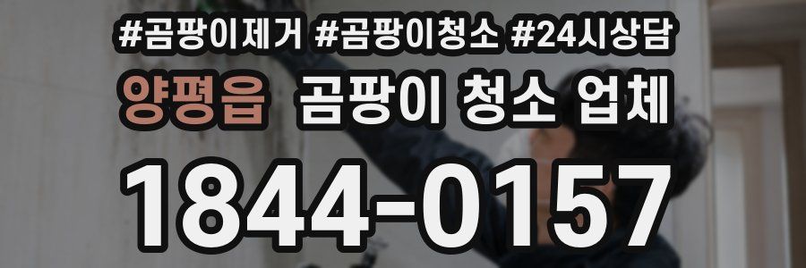 양평읍 곰팡이 청소 업체