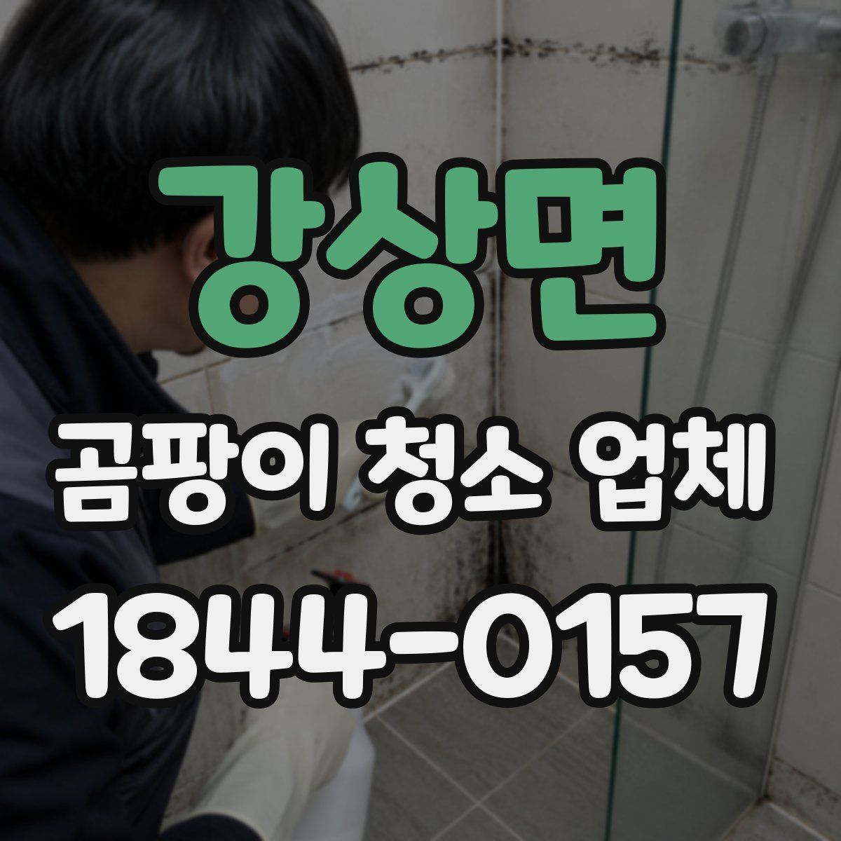 강상면 곰팡이 청소 업체
