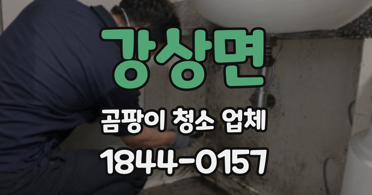강상면 곰팡이 청소 업체