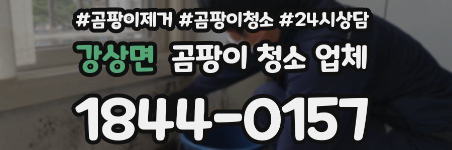 강상면 곰팡이 청소 업체