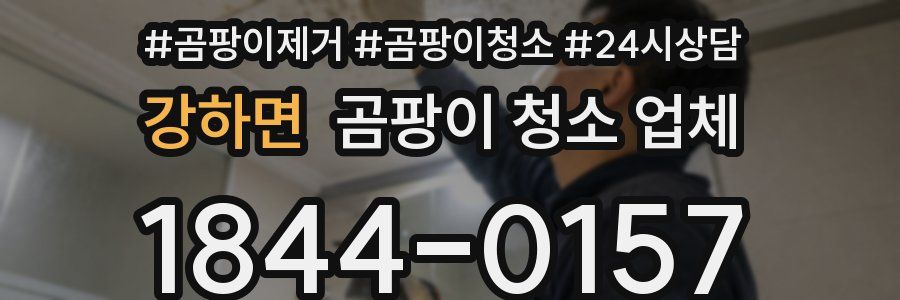 강하면 곰팡이 청소 업체