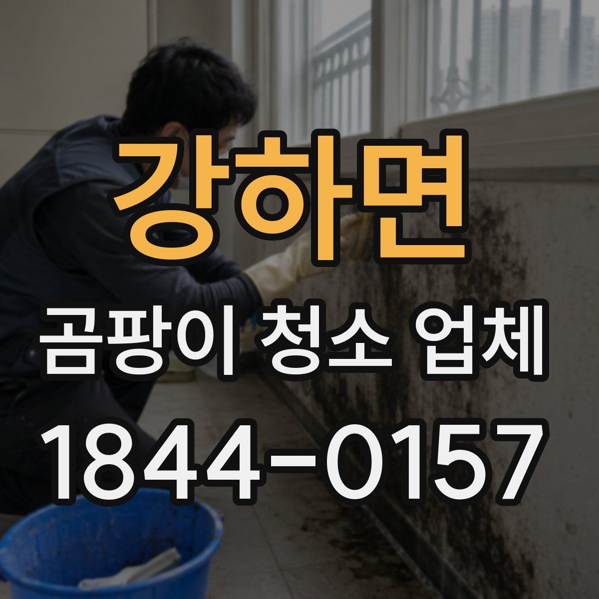 강하면 곰팡이 청소 업체