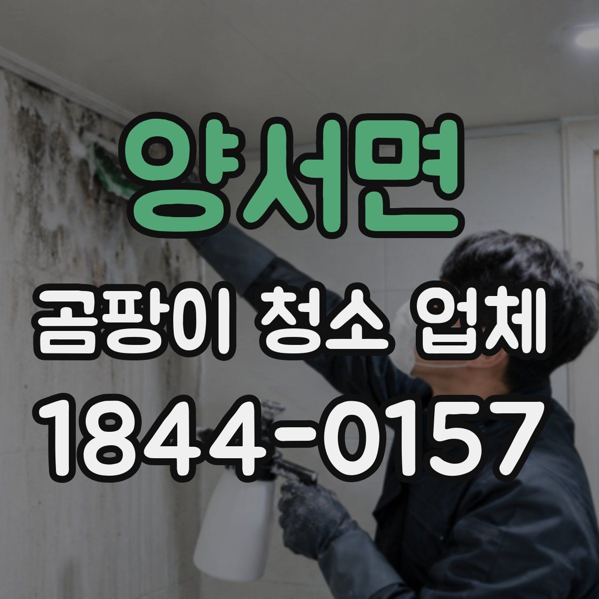 양서면 곰팡이 청소 업체