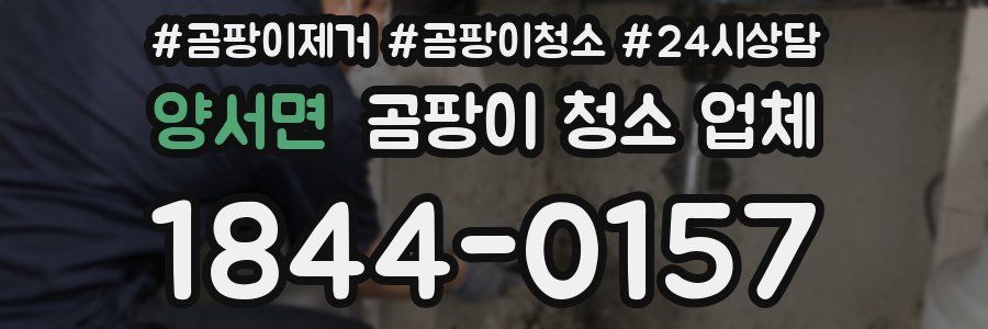 양서면 곰팡이 청소 업체
