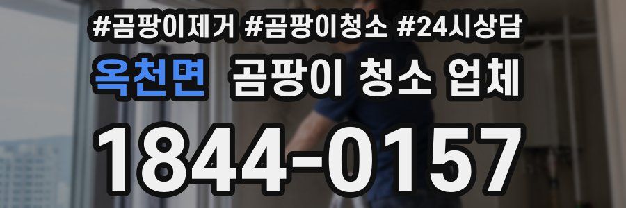옥천면 곰팡이 청소 업체