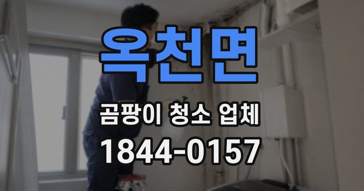 옥천면 곰팡이 청소 업체