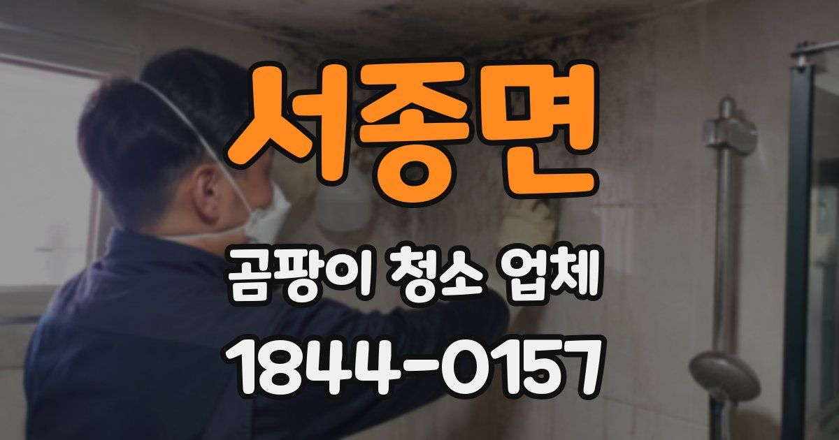 서종면 곰팡이 청소 업체