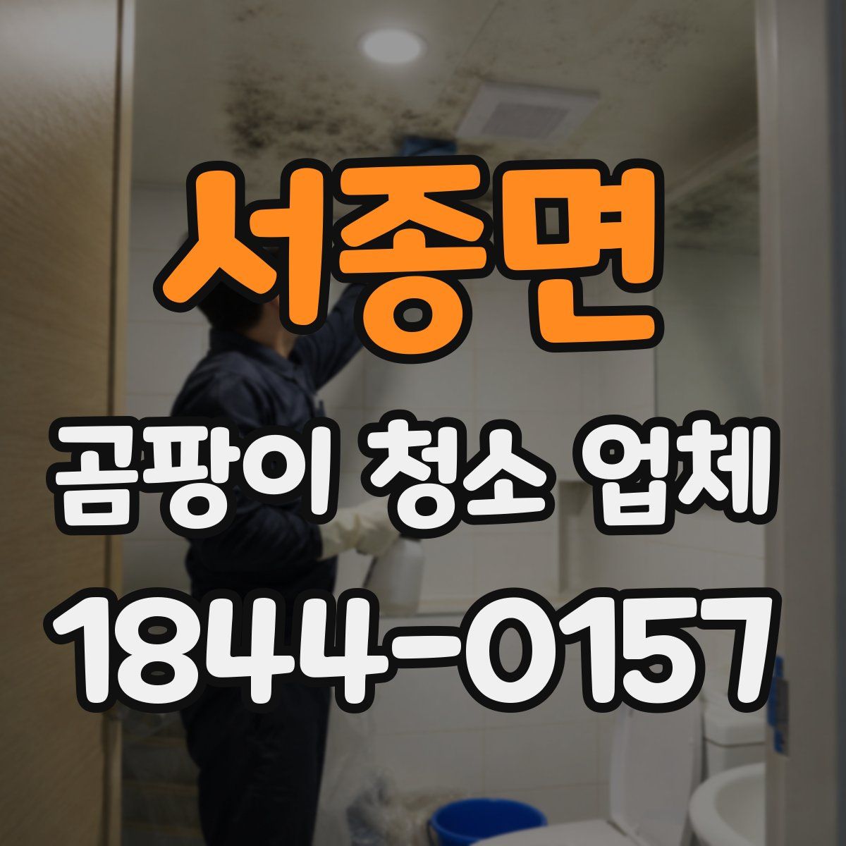 서종면 곰팡이 청소 업체