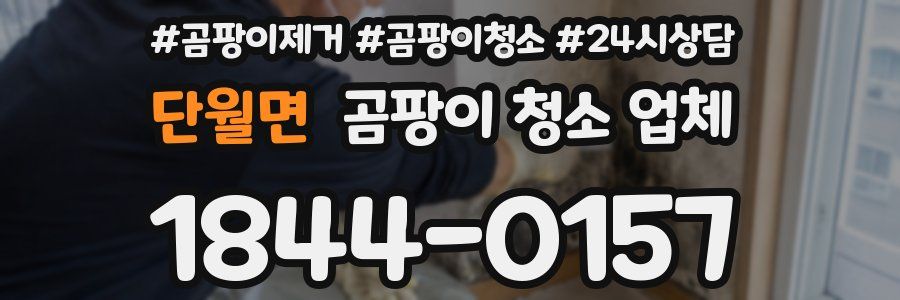 단월면 곰팡이 청소 업체