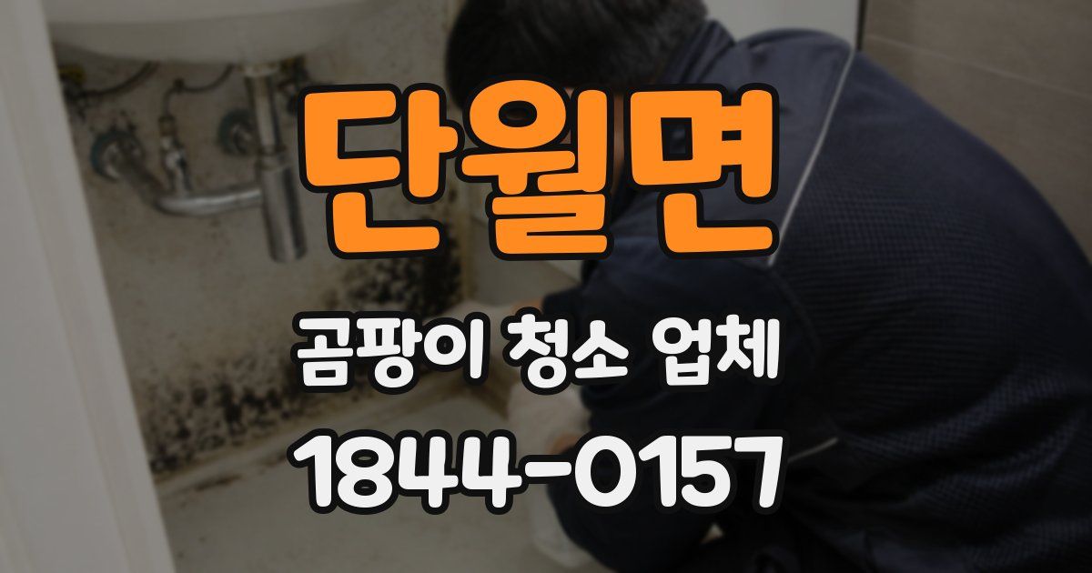 단월면 곰팡이 청소 업체