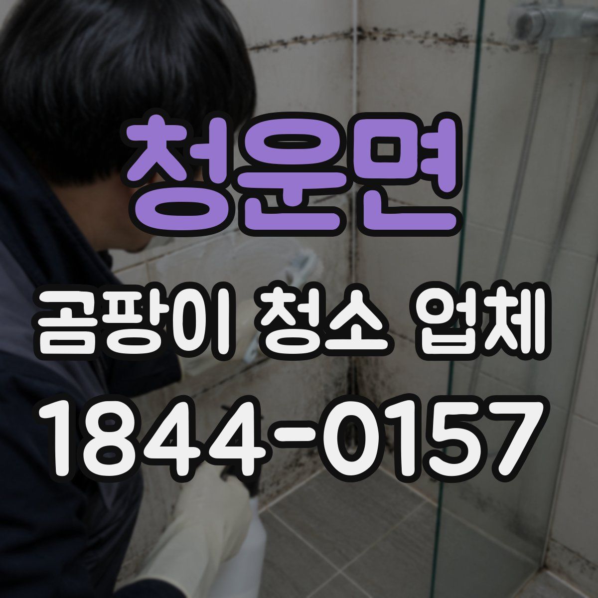 청운면 곰팡이 청소 업체