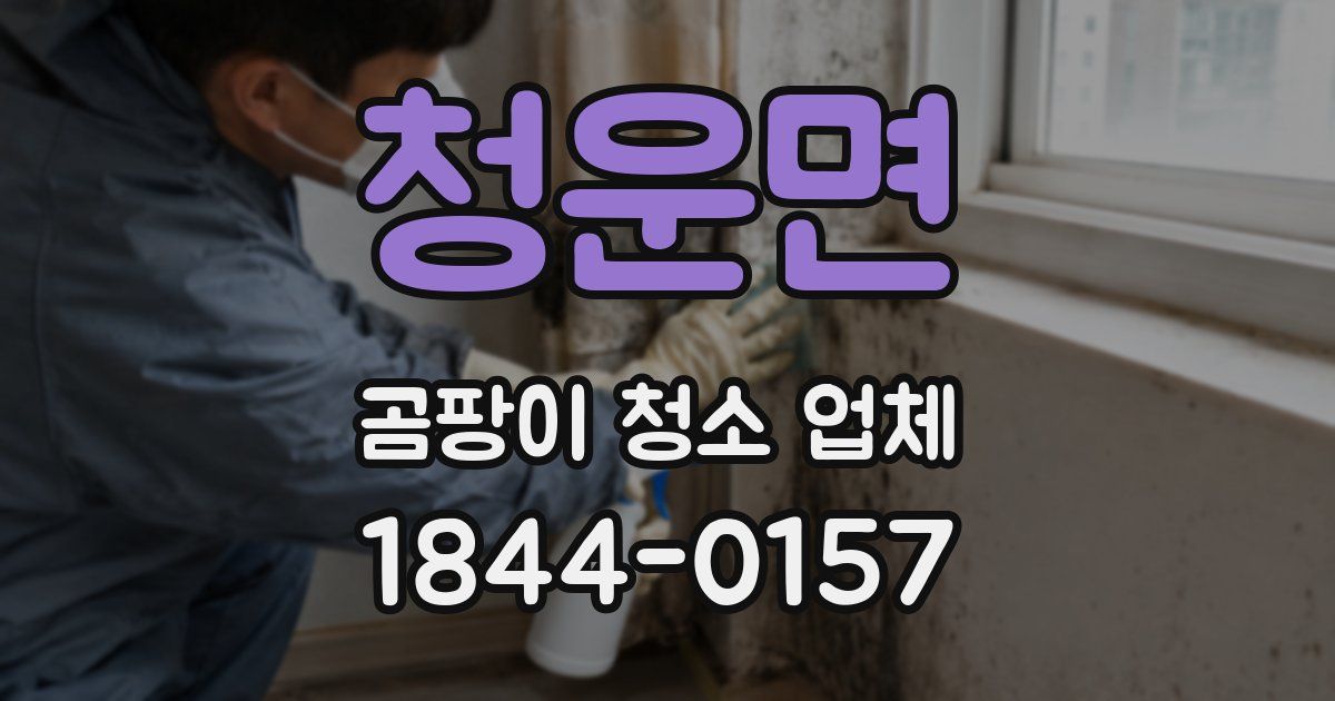 청운면 곰팡이 청소 업체