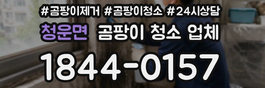 청운면 곰팡이 청소 업체