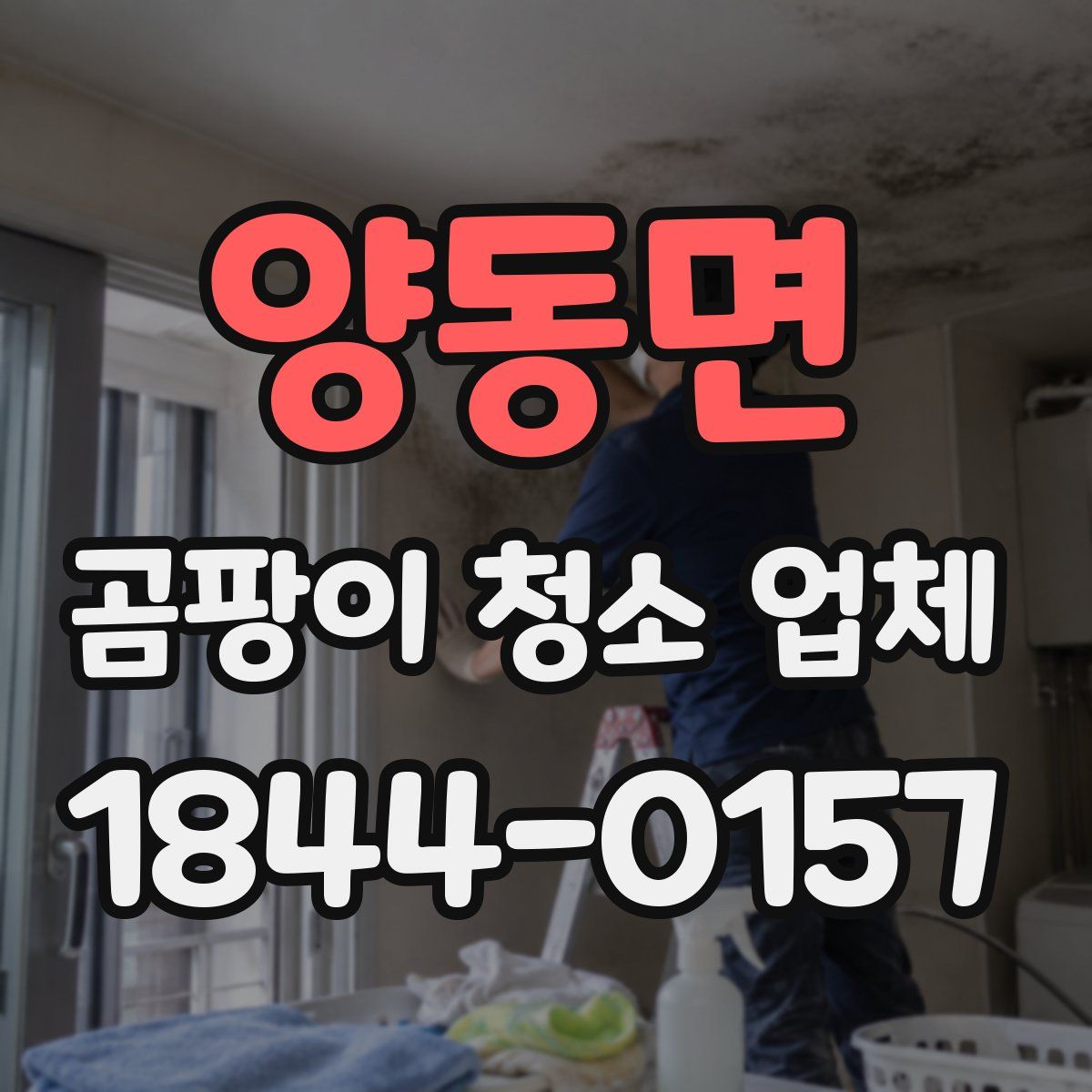 양동면 곰팡이 청소 업체