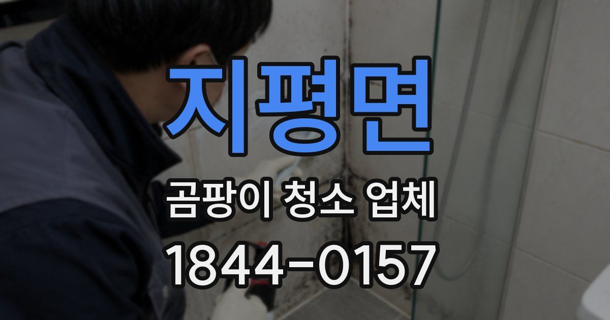 지평면 곰팡이 청소 업체