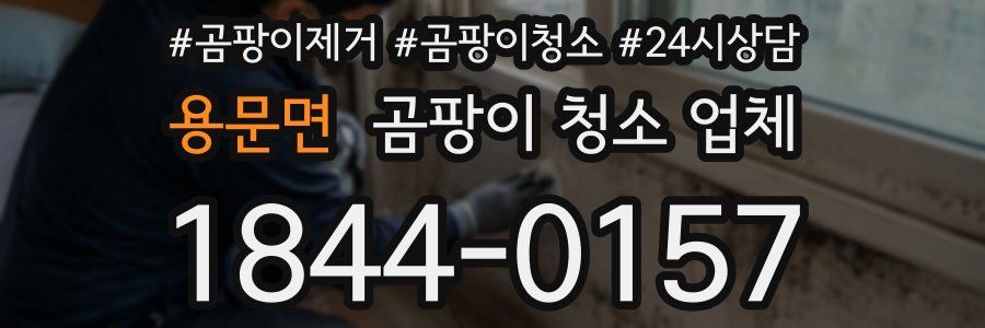 용문면 곰팡이 청소 업체