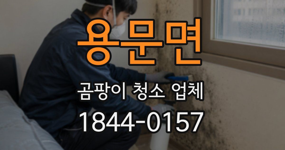 용문면 곰팡이 청소 업체