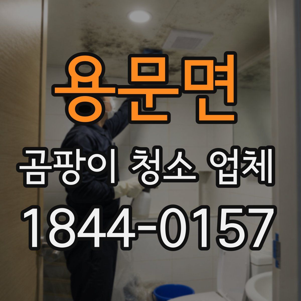 용문면 곰팡이 청소 업체