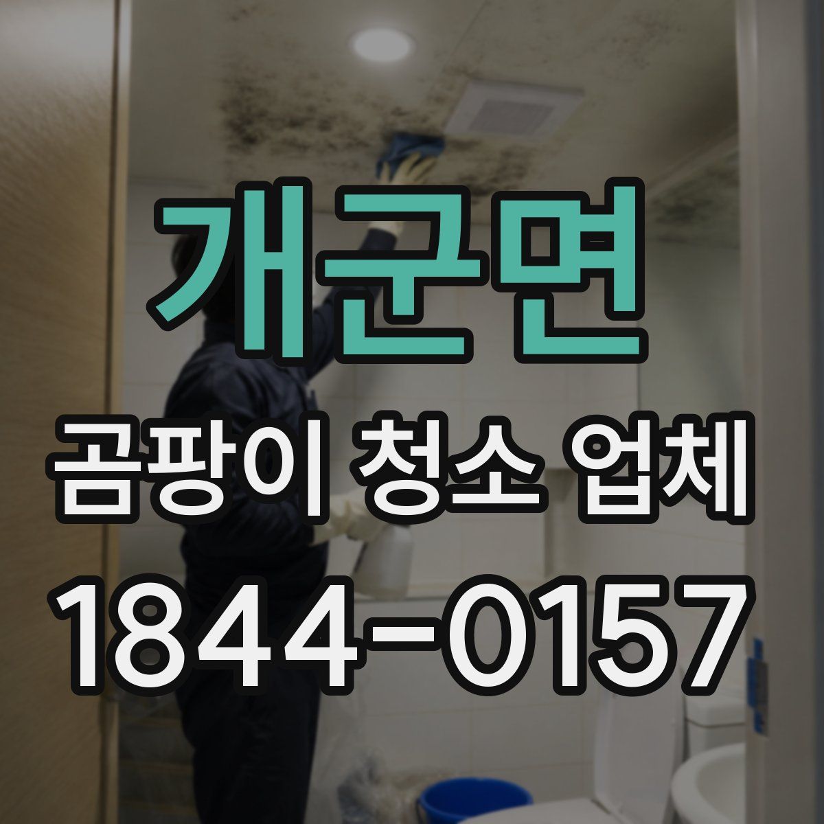 개군면 곰팡이 청소 업체