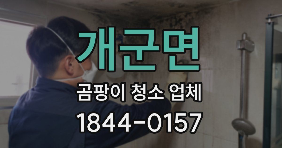 개군면 곰팡이 청소 업체