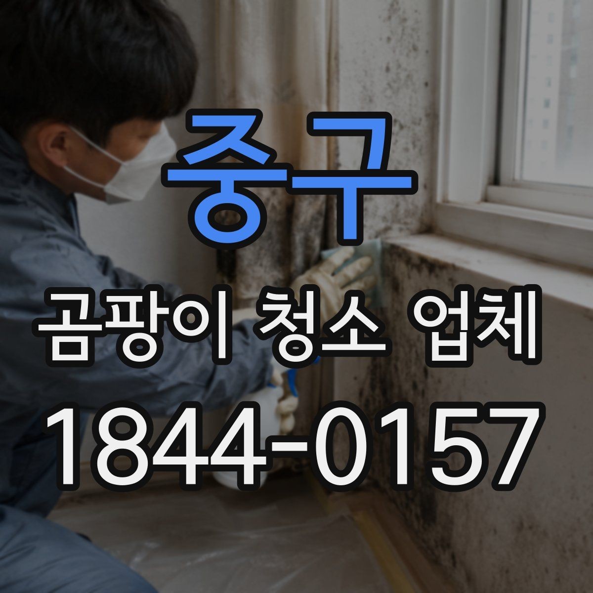 중구 곰팡이 청소 업체 현장 진단으로 확인하는 오염 깊이