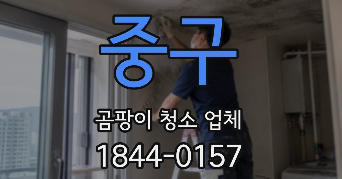 중구 곰팡이 청소 업체