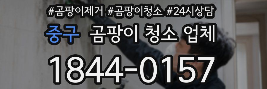 중구 곰팡이 청소 업체