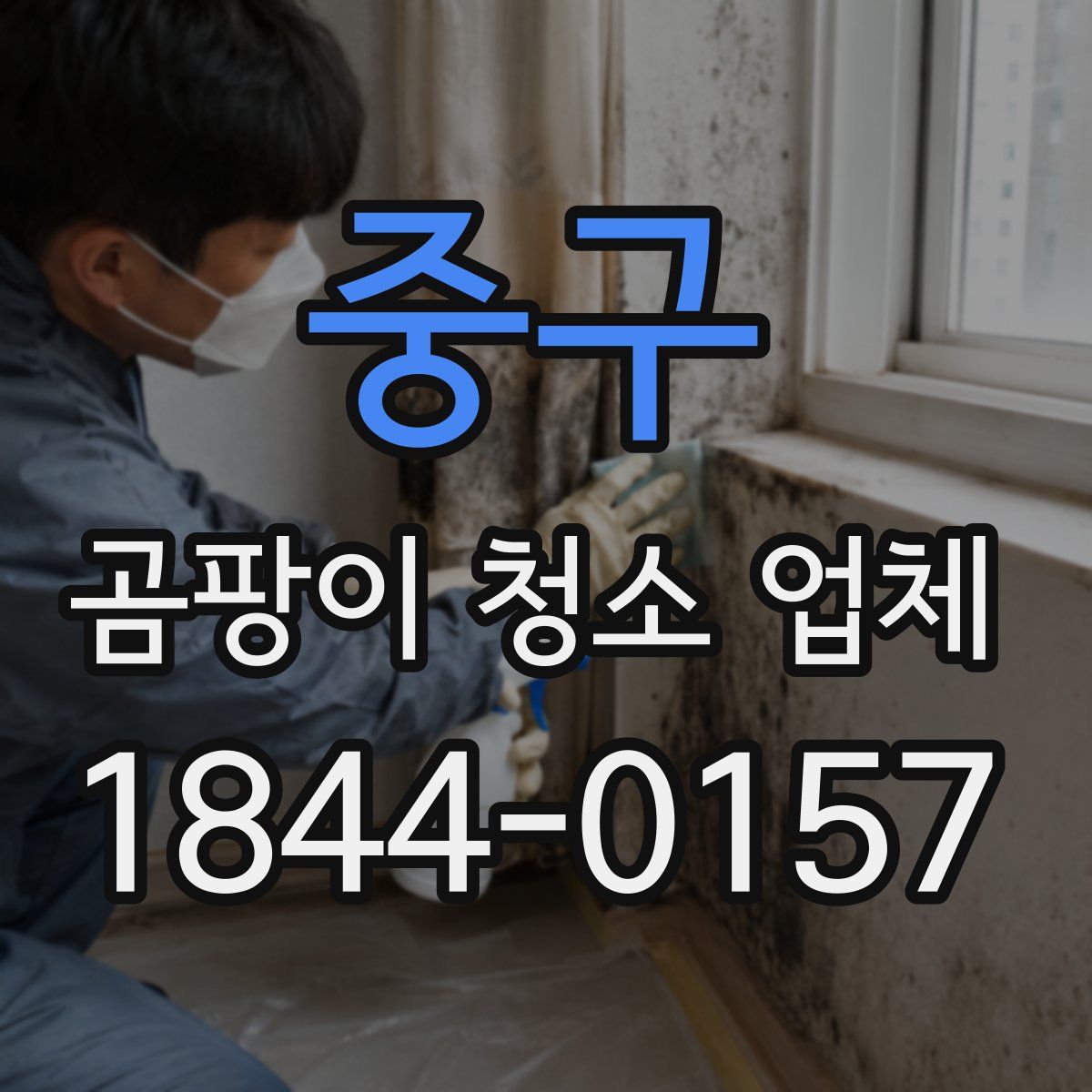 중구 곰팡이 청소 업체