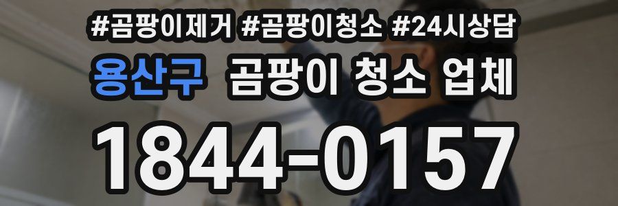 용산구 곰팡이 청소 업체