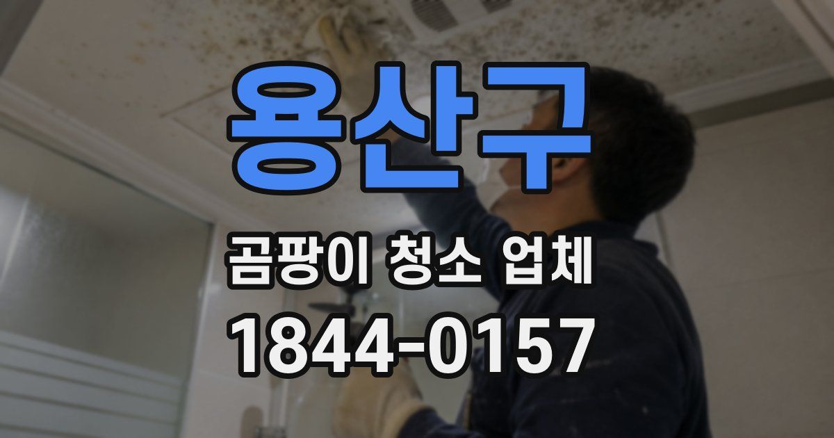 용산구 곰팡이 청소 업체