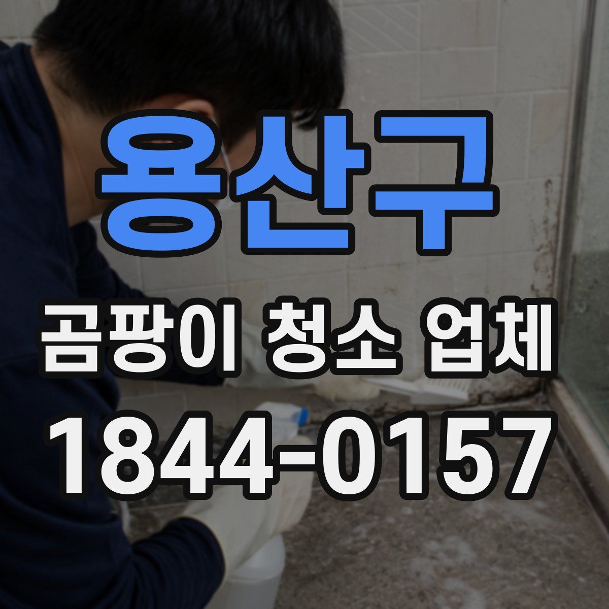 용산구 곰팡이 청소 업체