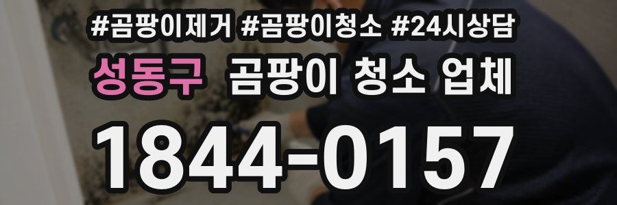 성동구 곰팡이 청소 업체