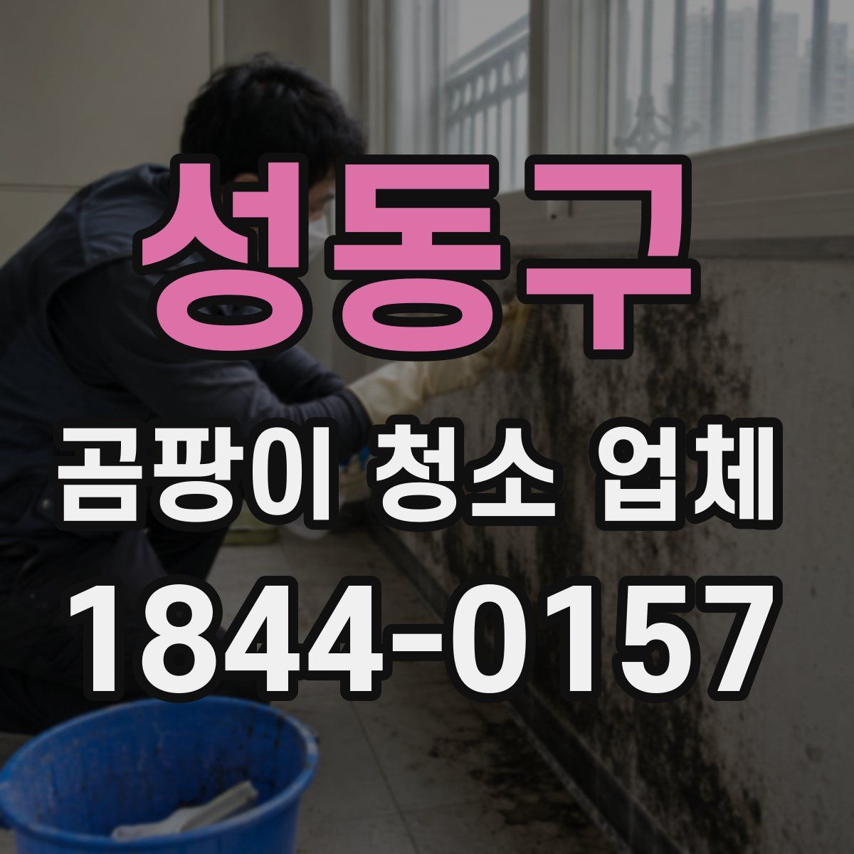 성동구 곰팡이 청소 업체