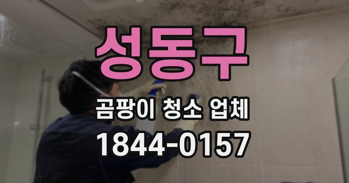 성동구 곰팡이 청소 업체