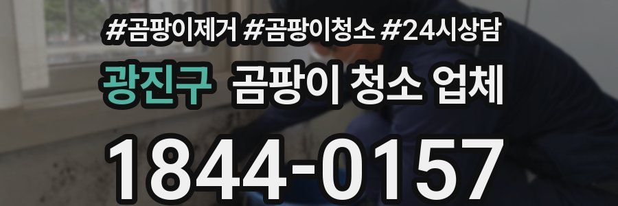 광진구 곰팡이 청소 업체