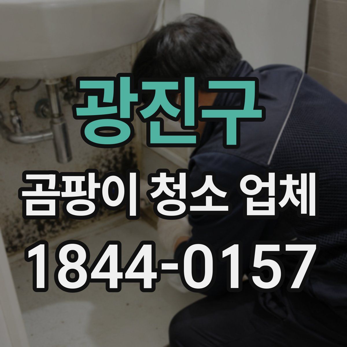 광진구 곰팡이 청소 업체