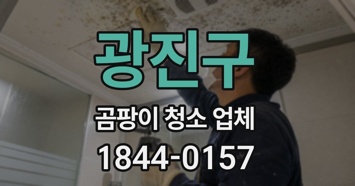 광진구 곰팡이 청소 업체
