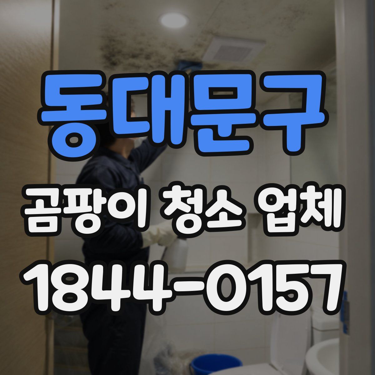 동대문구 곰팡이 청소 업체