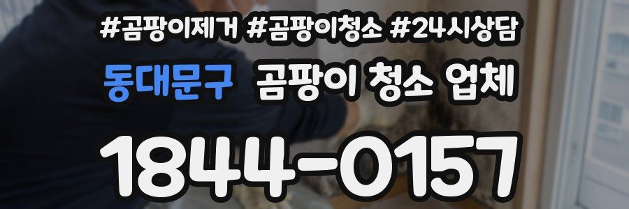 동대문구 곰팡이 청소 업체