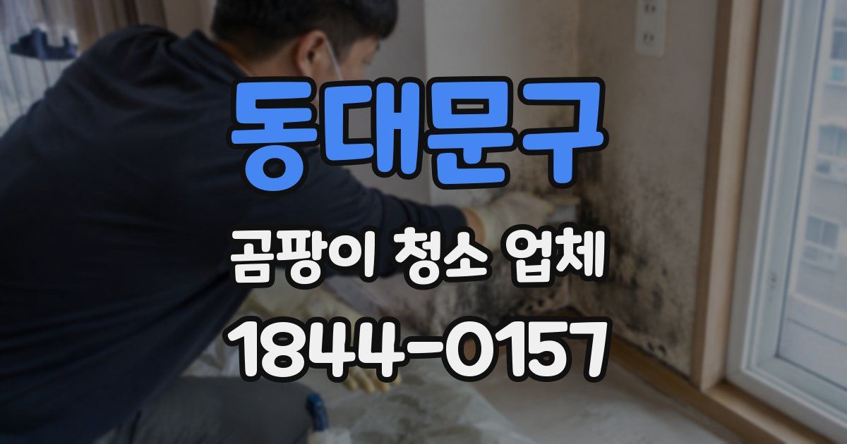 동대문구 곰팡이 청소 업체