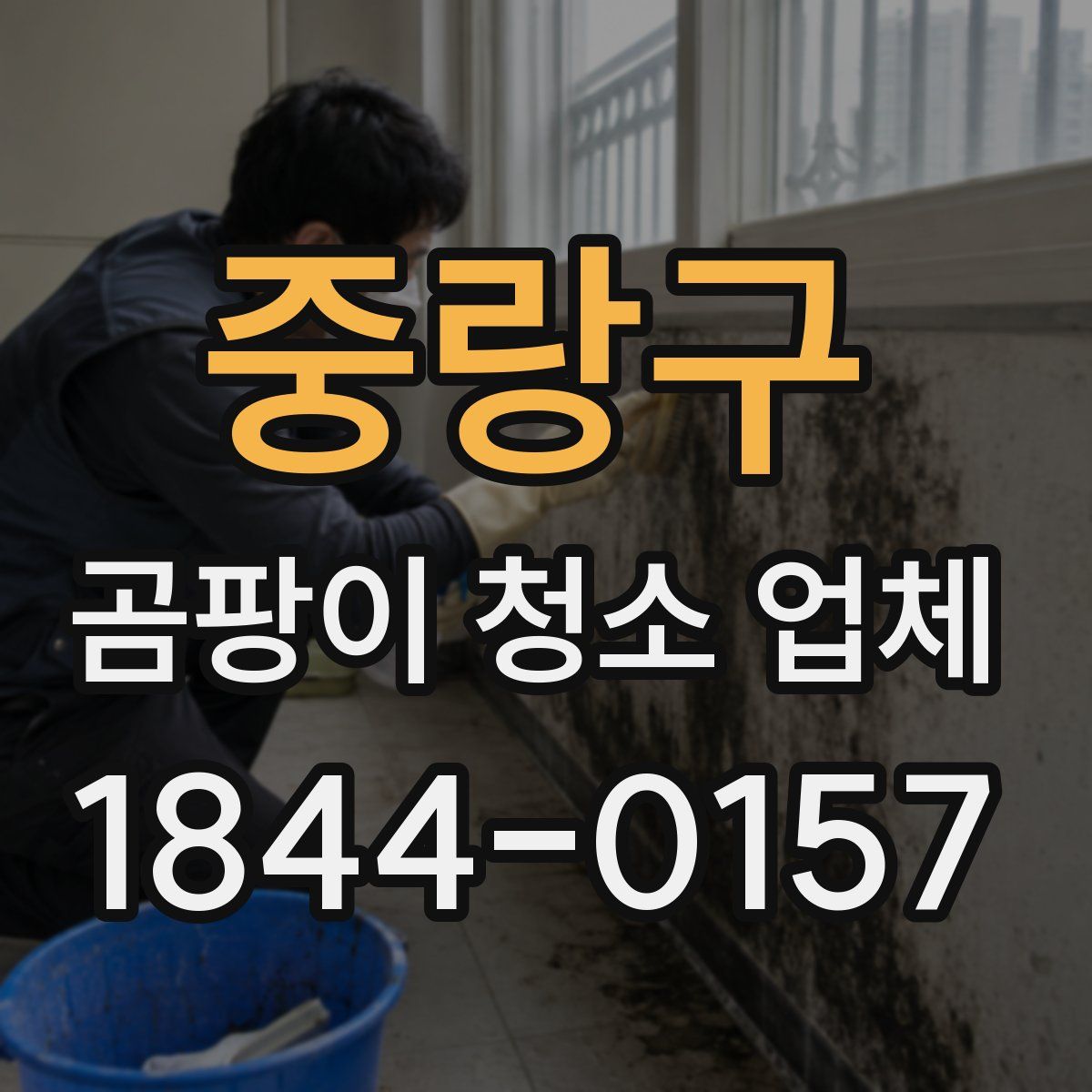 중랑구 곰팡이 청소 업체