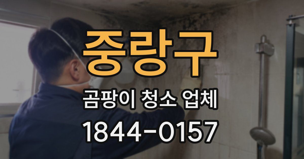 중랑구 곰팡이 청소 업체