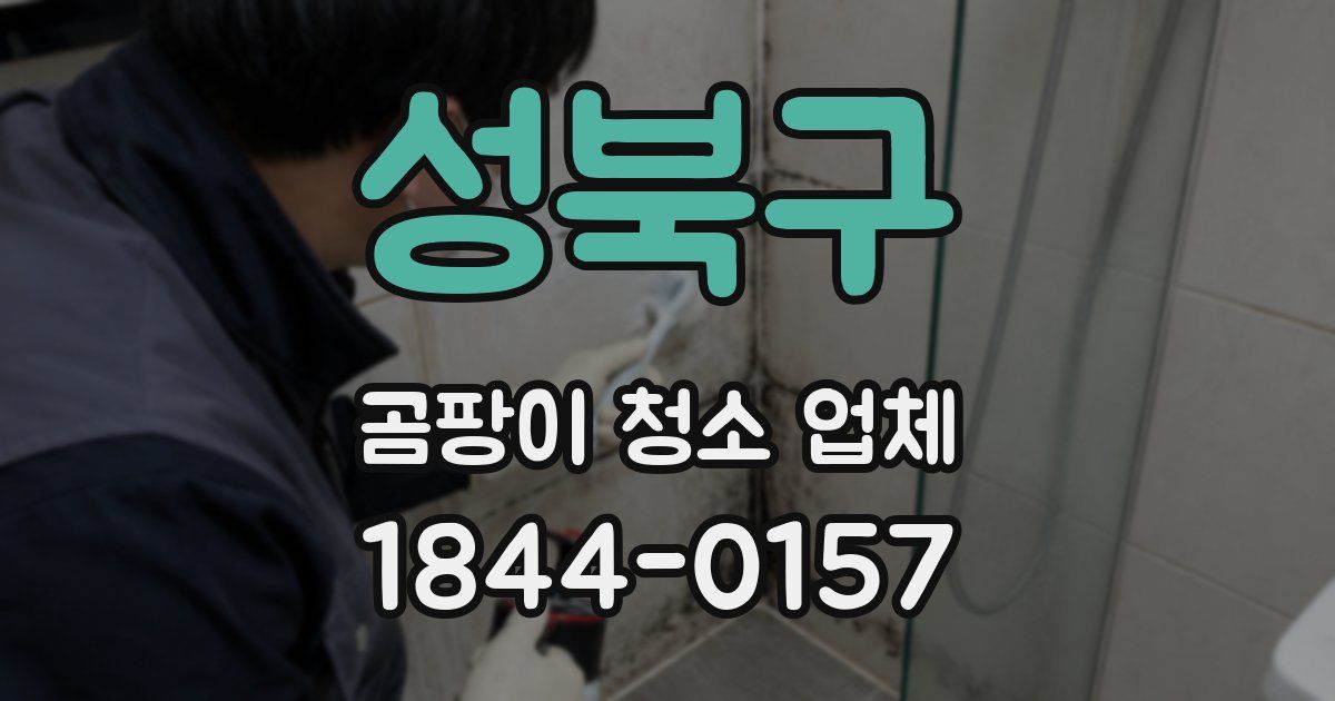 성북구 곰팡이 청소 업체