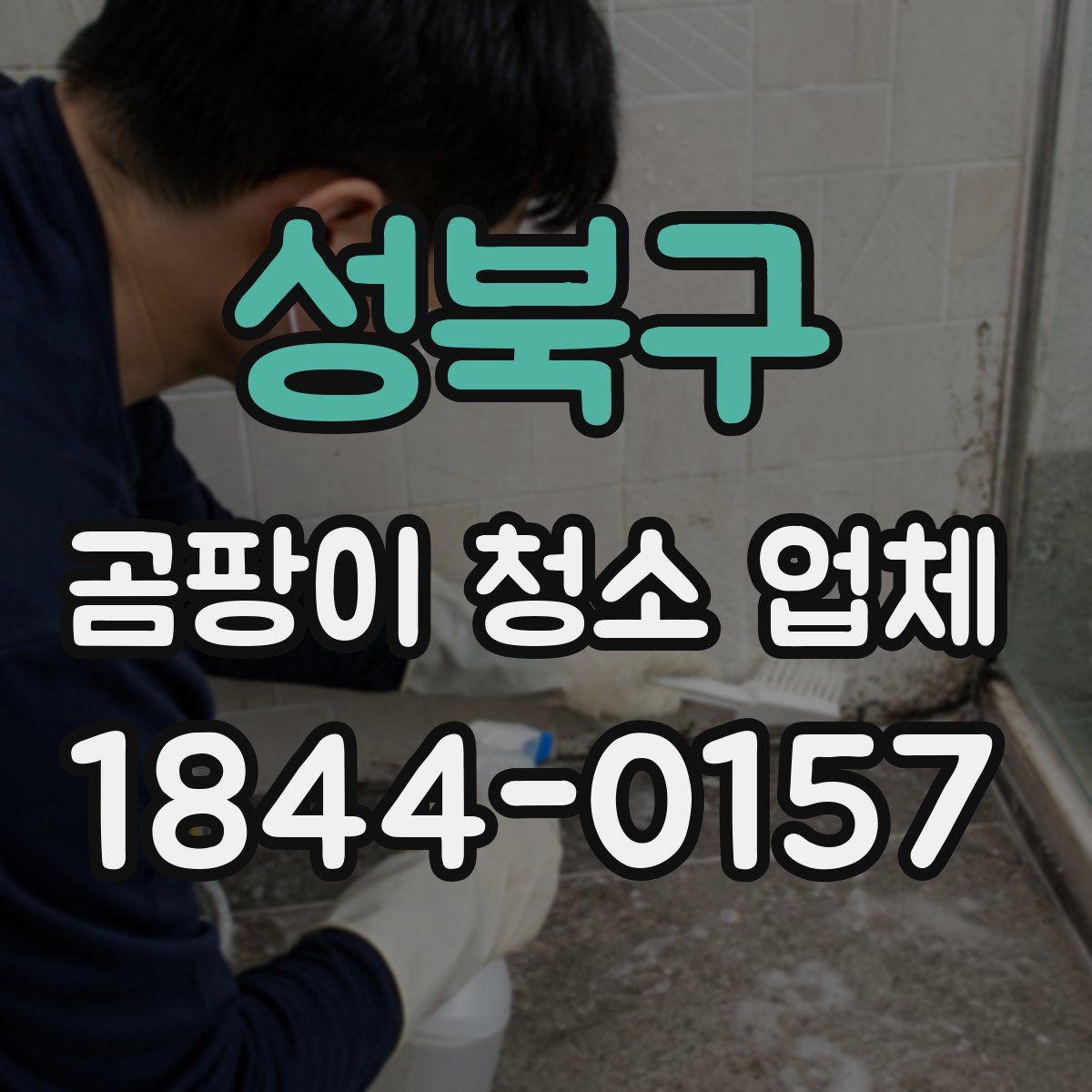 성북구 곰팡이 청소 업체