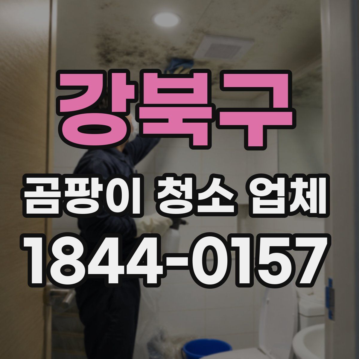 강북구 곰팡이 청소 업체