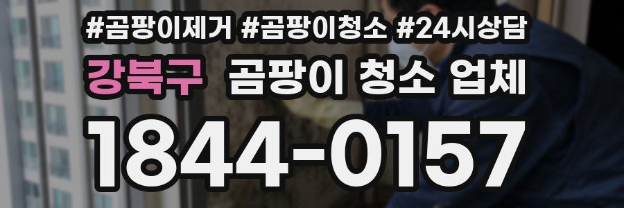 강북구 곰팡이 청소 업체