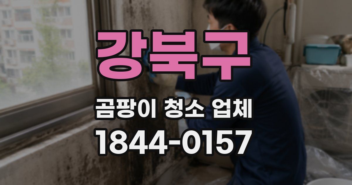 강북구 곰팡이 청소 업체