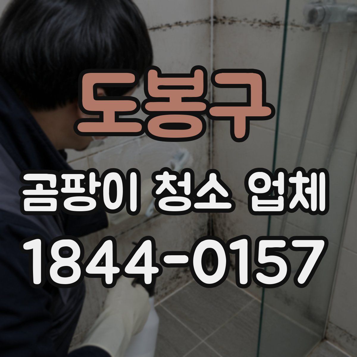 도봉구 곰팡이 청소 업체