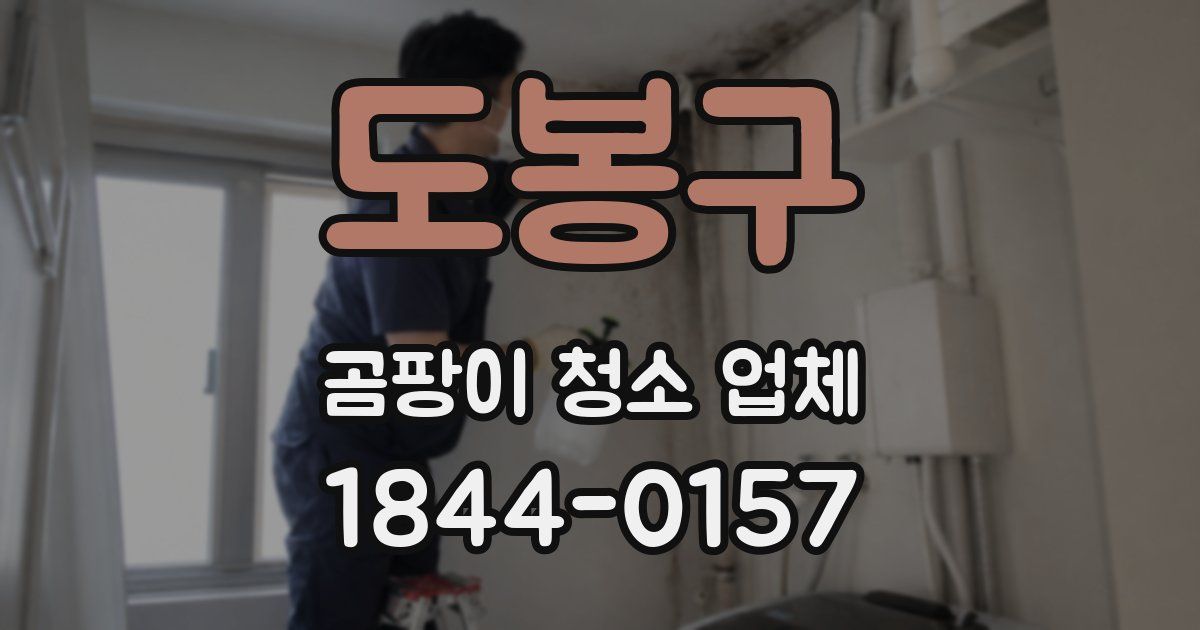 도봉구 곰팡이 청소 업체