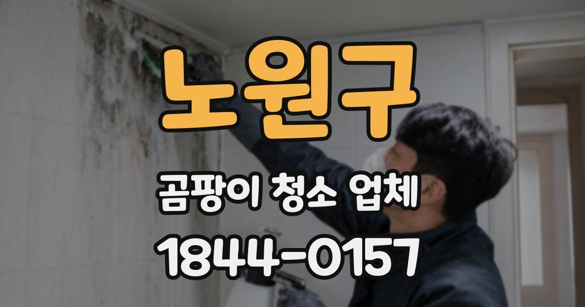 노원구 곰팡이 청소 업체